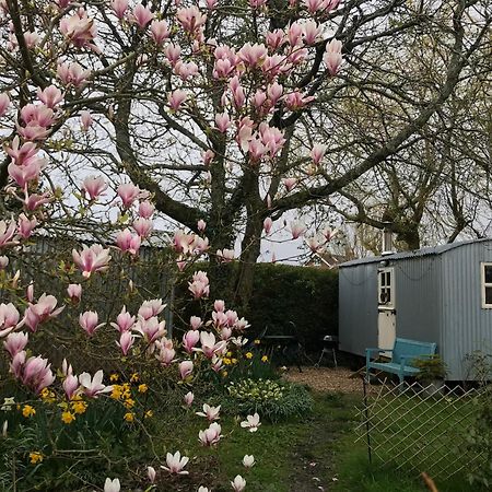 The Wayside Shepherd Hut Бьюли Экстерьер фото