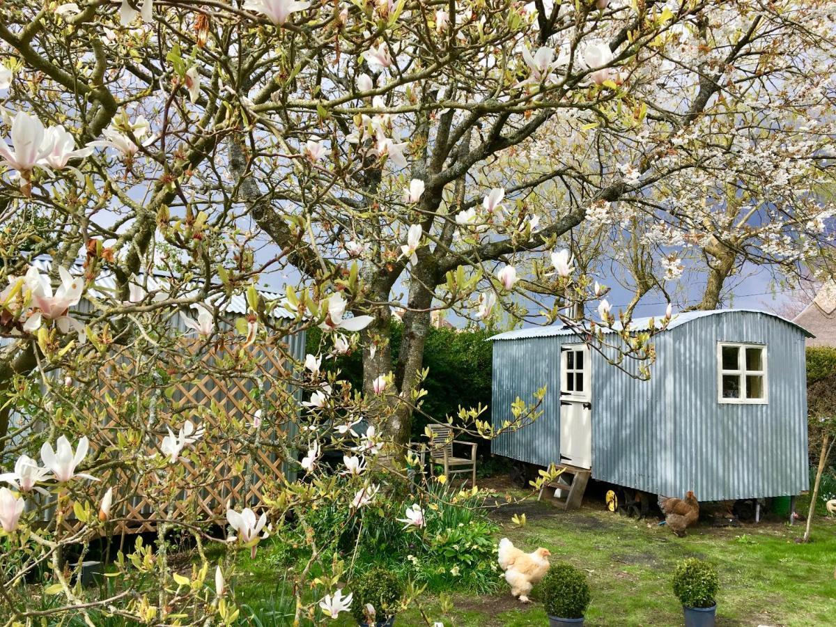 The Wayside Shepherd Hut Бьюли Экстерьер фото