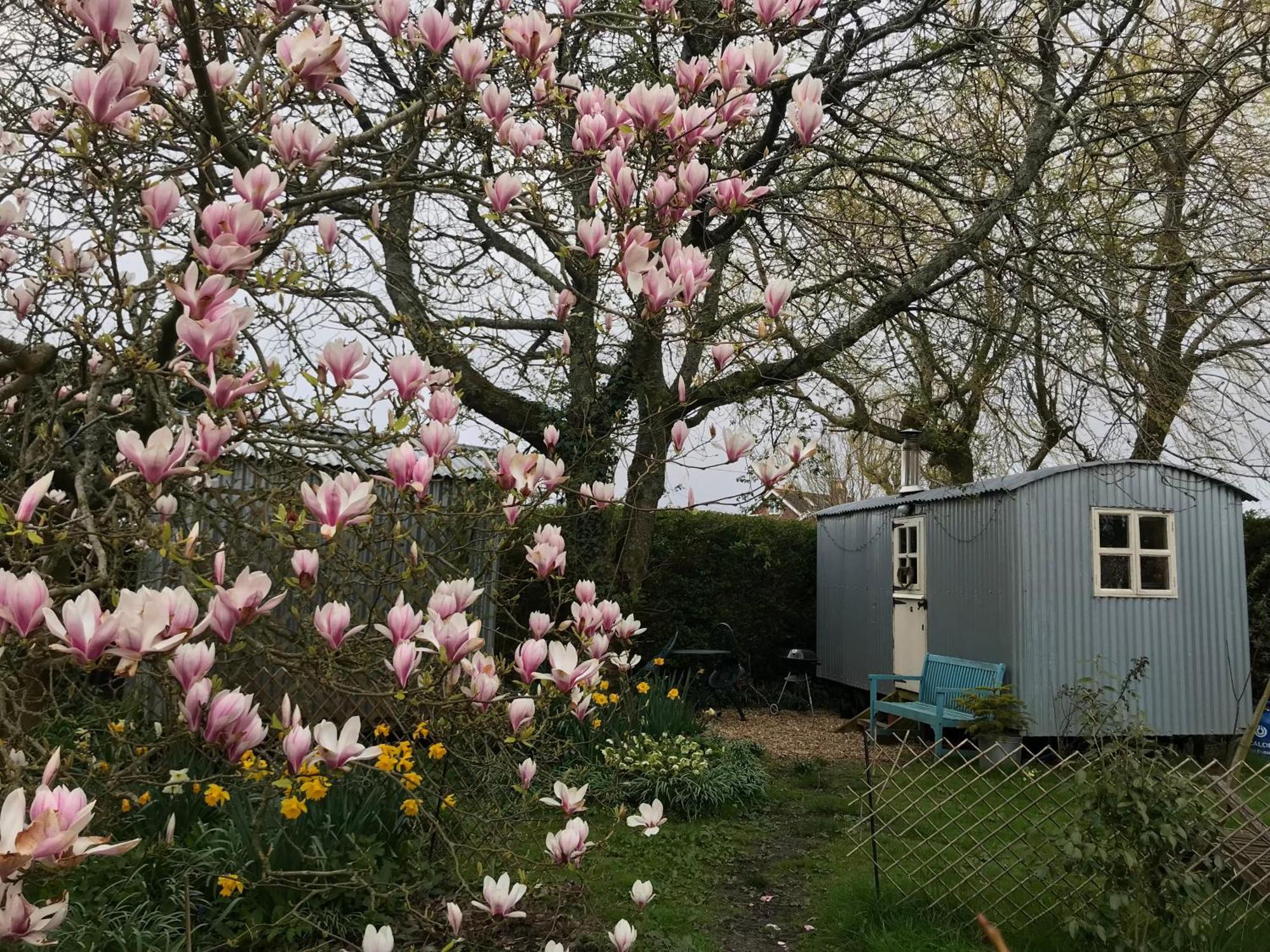 The Wayside Shepherd Hut Бьюли Экстерьер фото