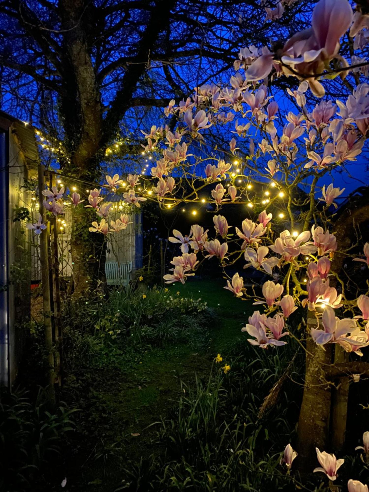 The Wayside Shepherd Hut Бьюли Экстерьер фото