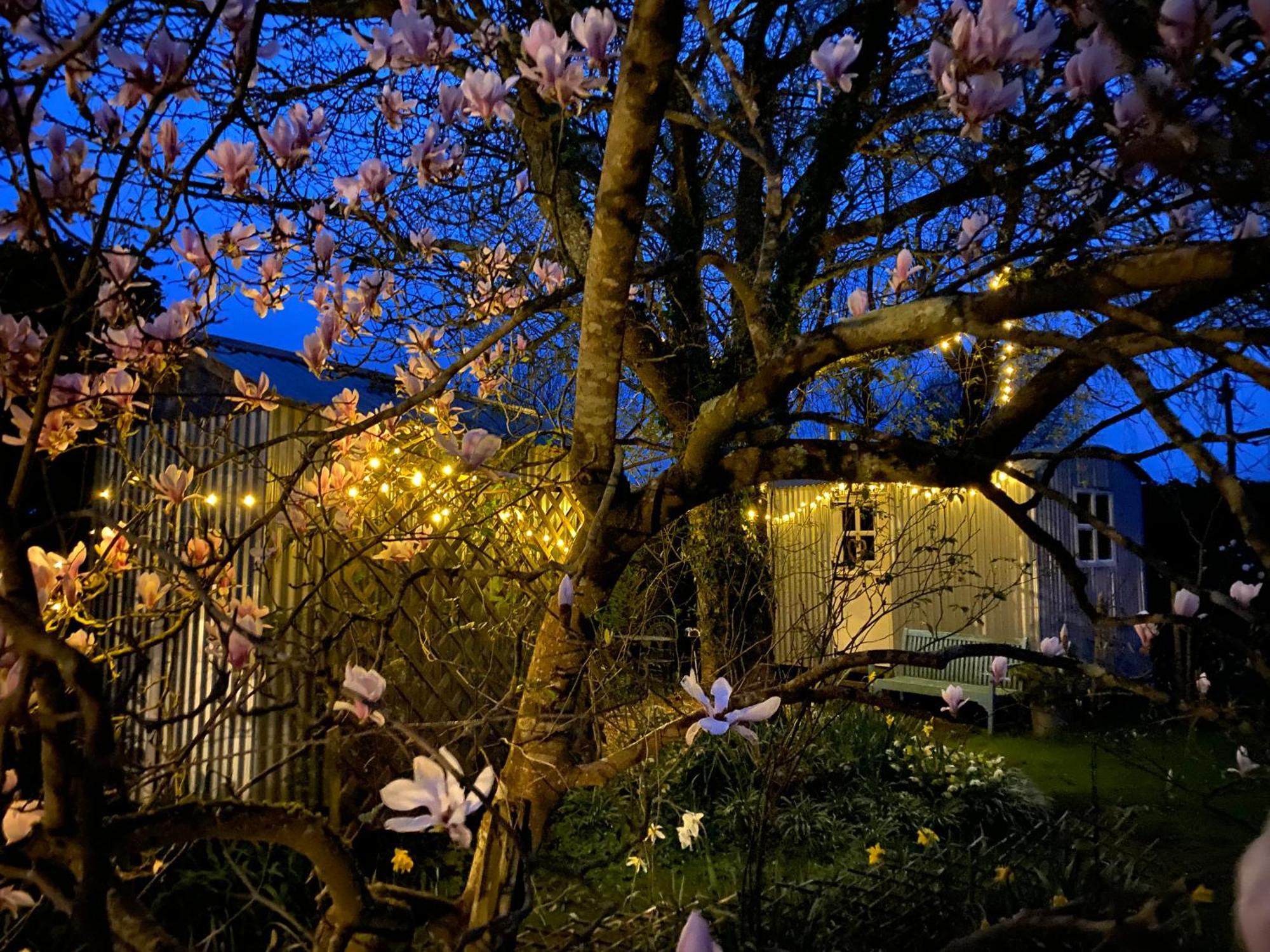 The Wayside Shepherd Hut Бьюли Экстерьер фото